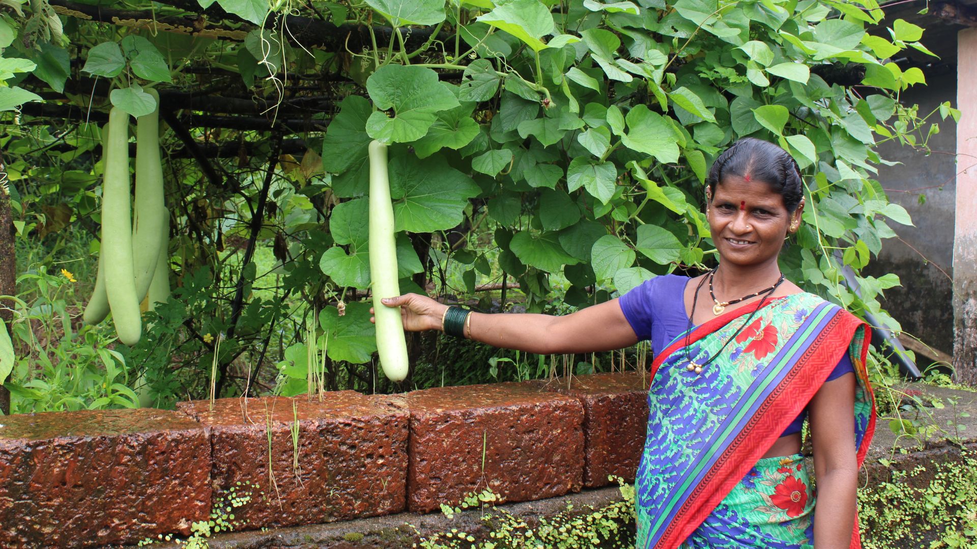 Support a woman with nutrition security and income